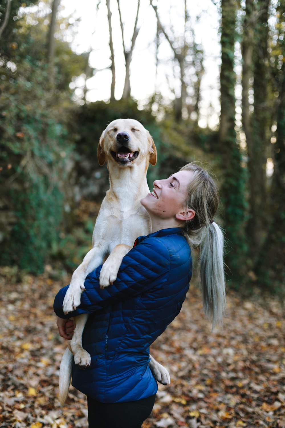A joyful dog with its owner outdoors
