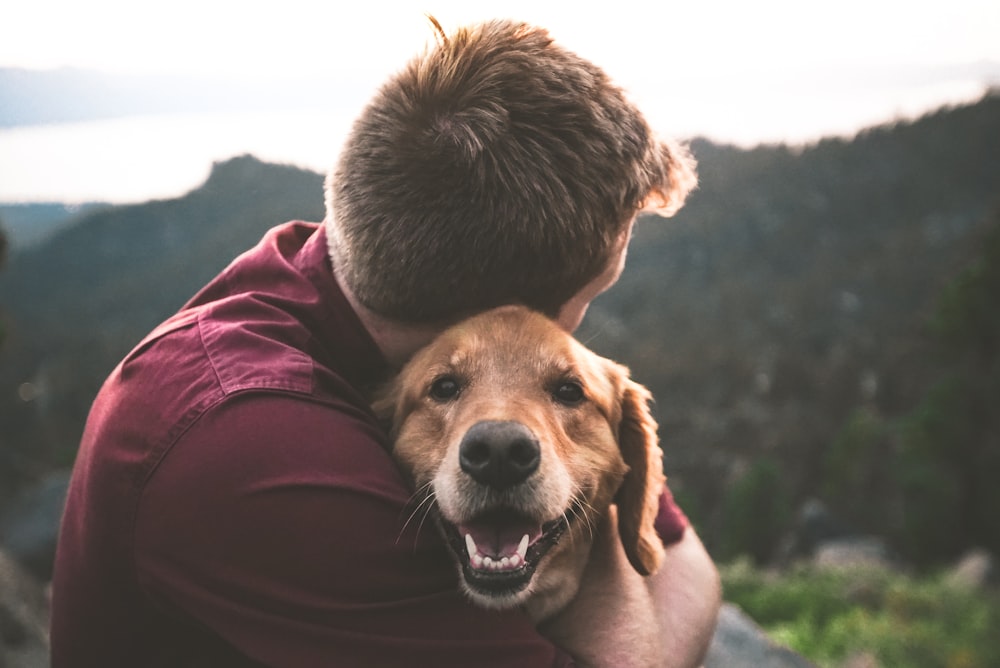 A dog and its owner